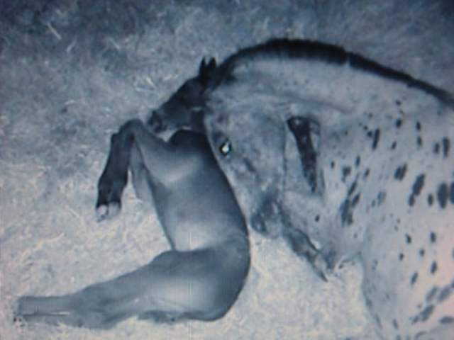 222627_1045933670562_1292263772_30165848_7760787_n